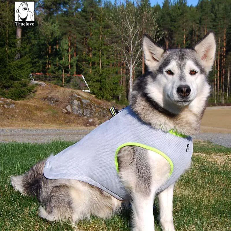 Summer Dog Cooling Vest