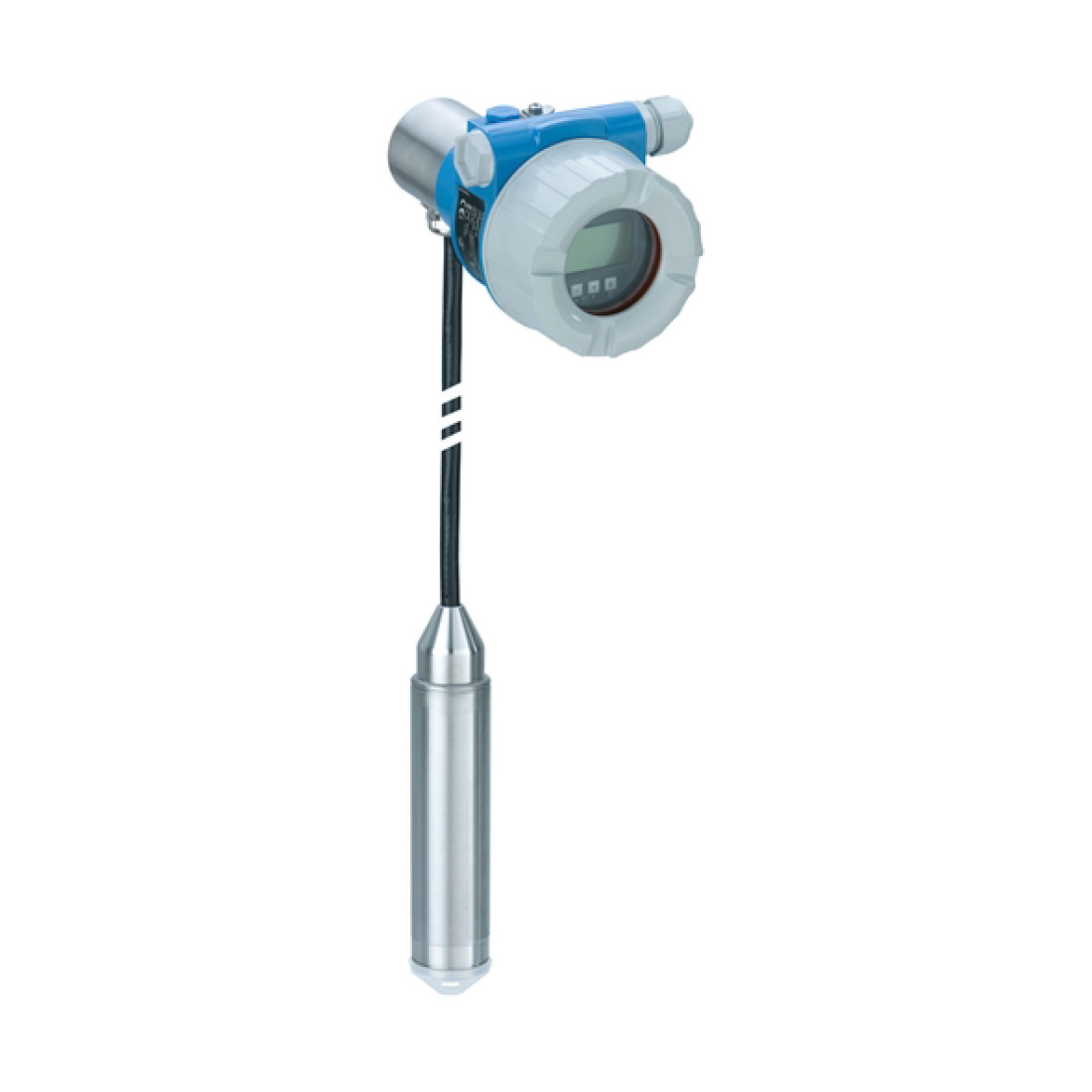 e+h,E+H Deltapilot FMB53 Level Transmitter