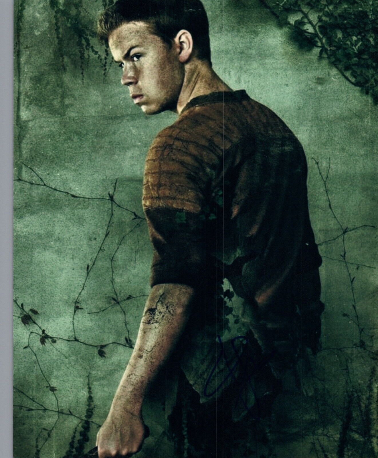 Will Poulter Signed Autograph 8x10 Photo Poster painting The Revenant Maze Runner COA AB