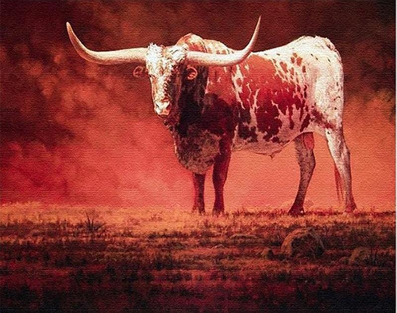 

Red Cattle – Paint By Numbers - 40*50CM, 501 Original