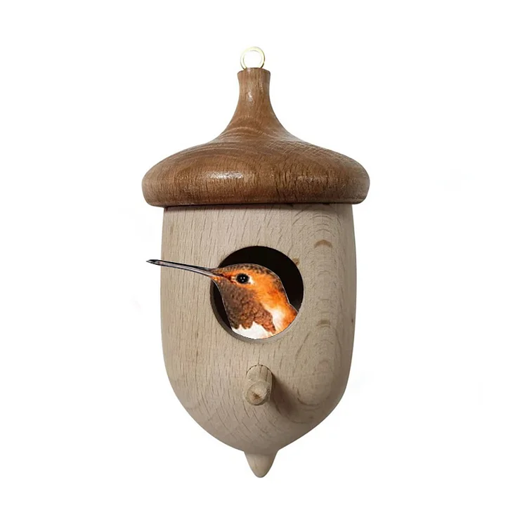 Beechwood Hummingbird House Hanging Hummingbird Nest | AvasHome
