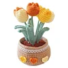 DIY Flower Potted Crochet Kit with Video Tutorial Cute Plants Hand-Knitted Tool