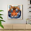 uk.everydayedeals (Limited Stock)Paint By Number - Oil Painting -  Tiger (40*40Cm)