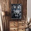 (Grande Taille) Tigre blanc avec des yeux bleus-partiel ab rond diamant peinture-40 * 60cm
