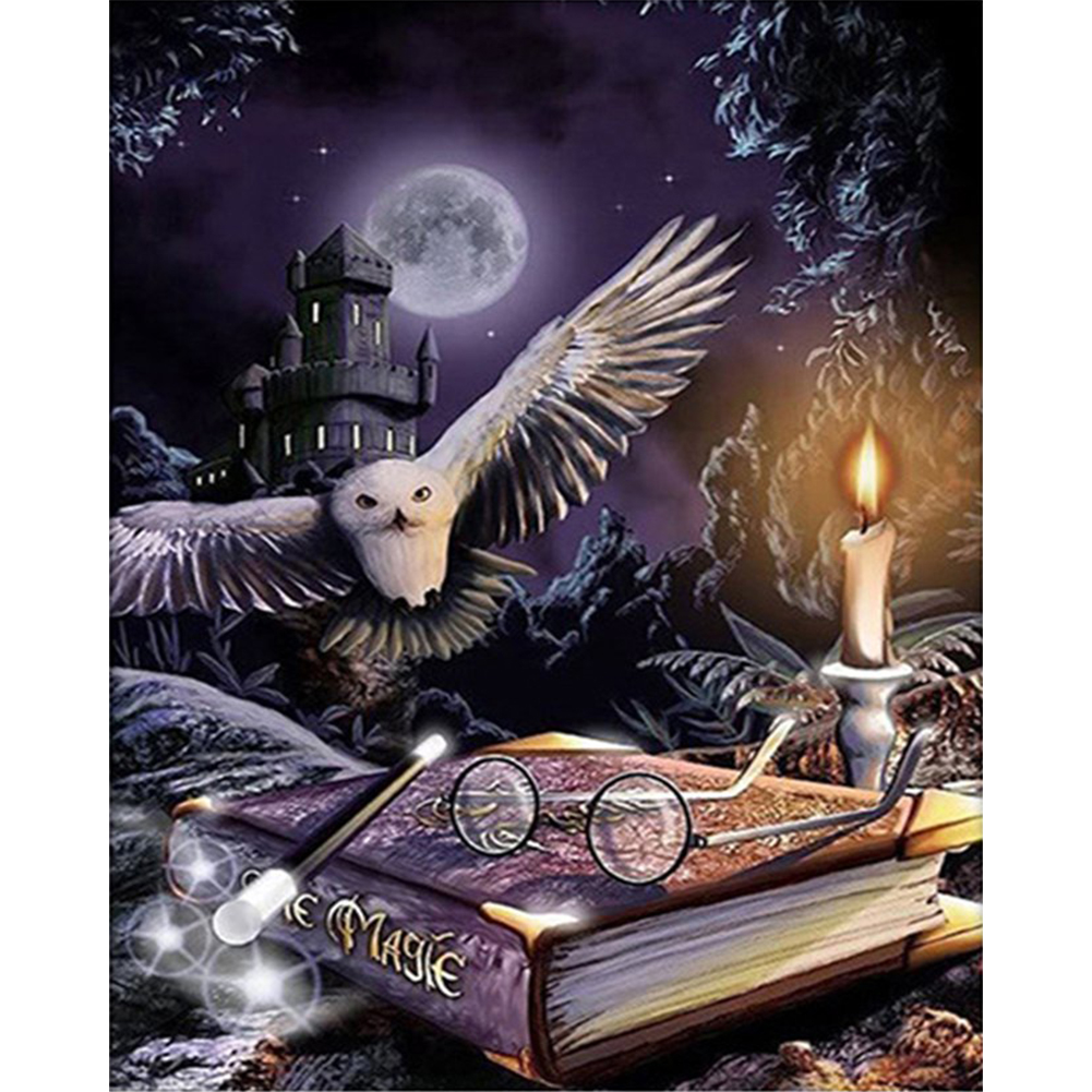 Harry Potter Owl Full 11CT Counted Canvas(40*50cm) Cross Stitch