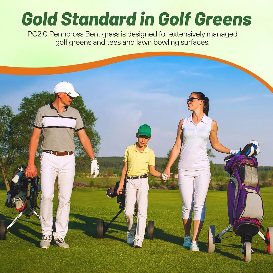 PC2.0 (Penncross) Creeping Bent Grass