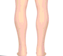 Vita-Wear 铜质磁性压缩支撑脚原装品质 |易趣