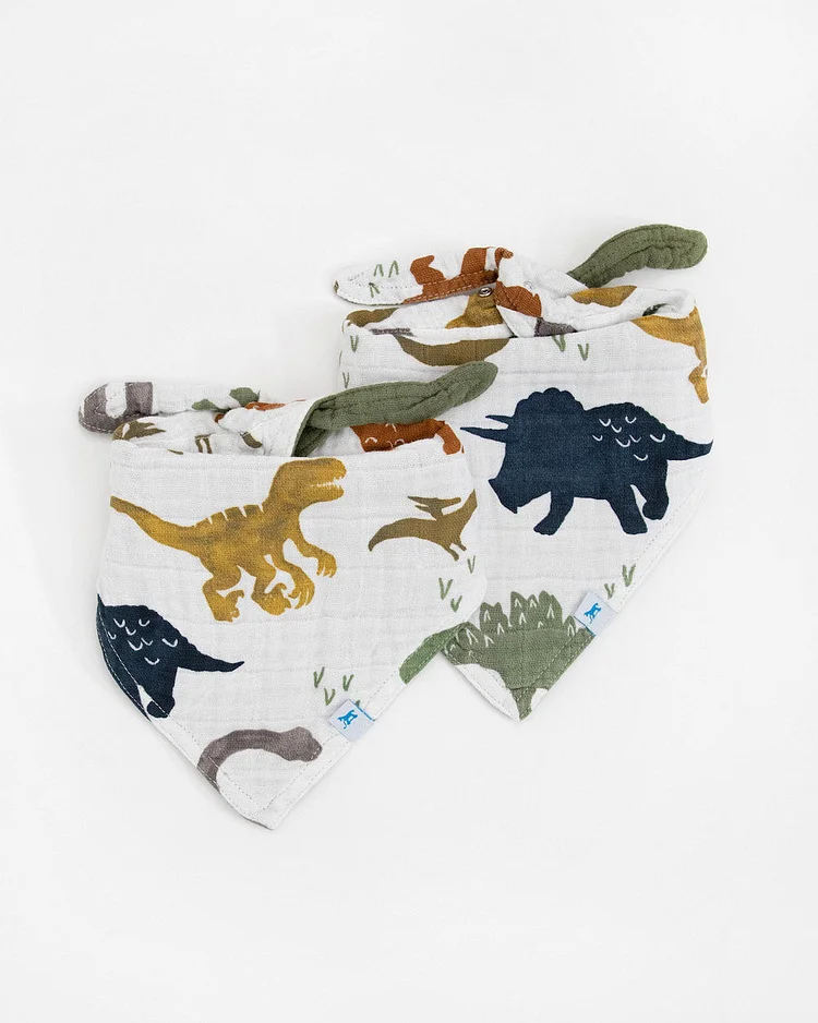 Cotton Muslin Reversible Bandana Bib 2 Pack - Dino Friends