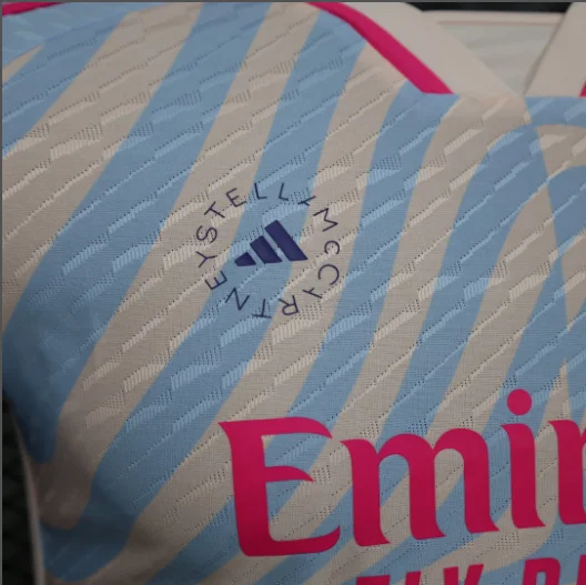 2023-2024 Arsenal Special Edition Player Version Men's Football T-Shirt Thai Quality