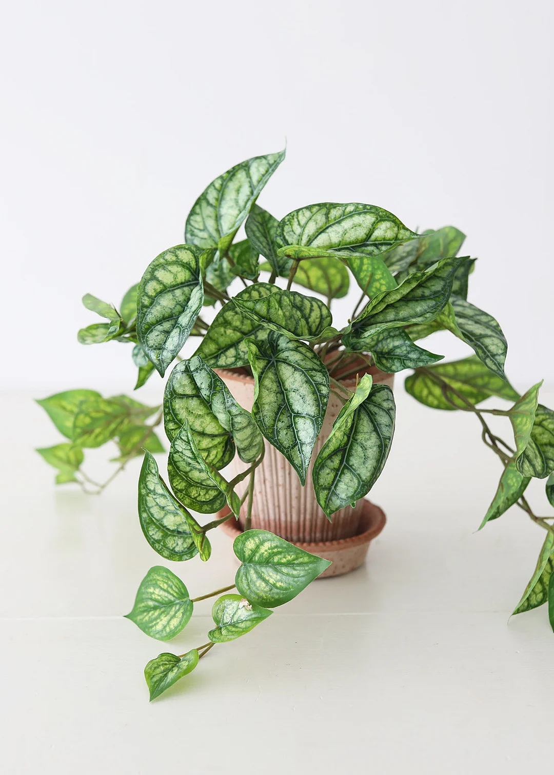 UV Protected Peperomia Fake Hanging Plant - 19.5"