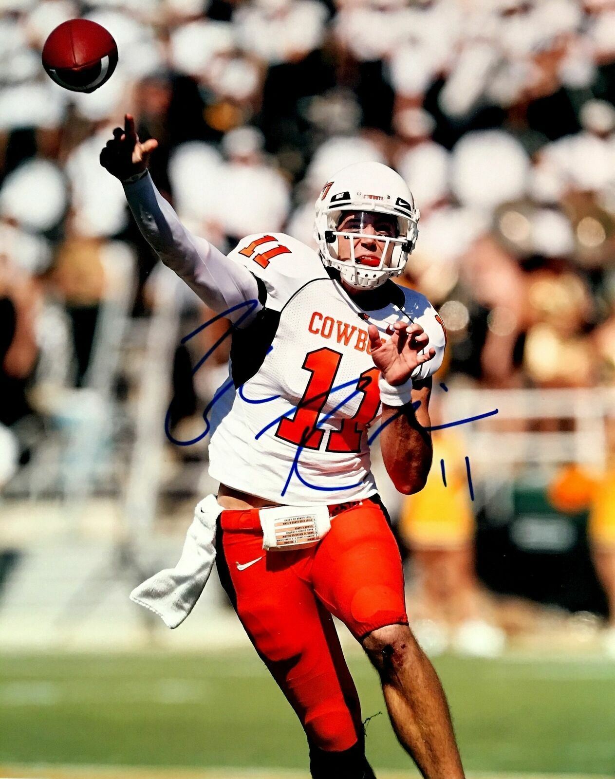 Zac Robinson Signed Oklahoma State Cowboys 8x10 Photo Poster painting  SHIP Autograph Auto