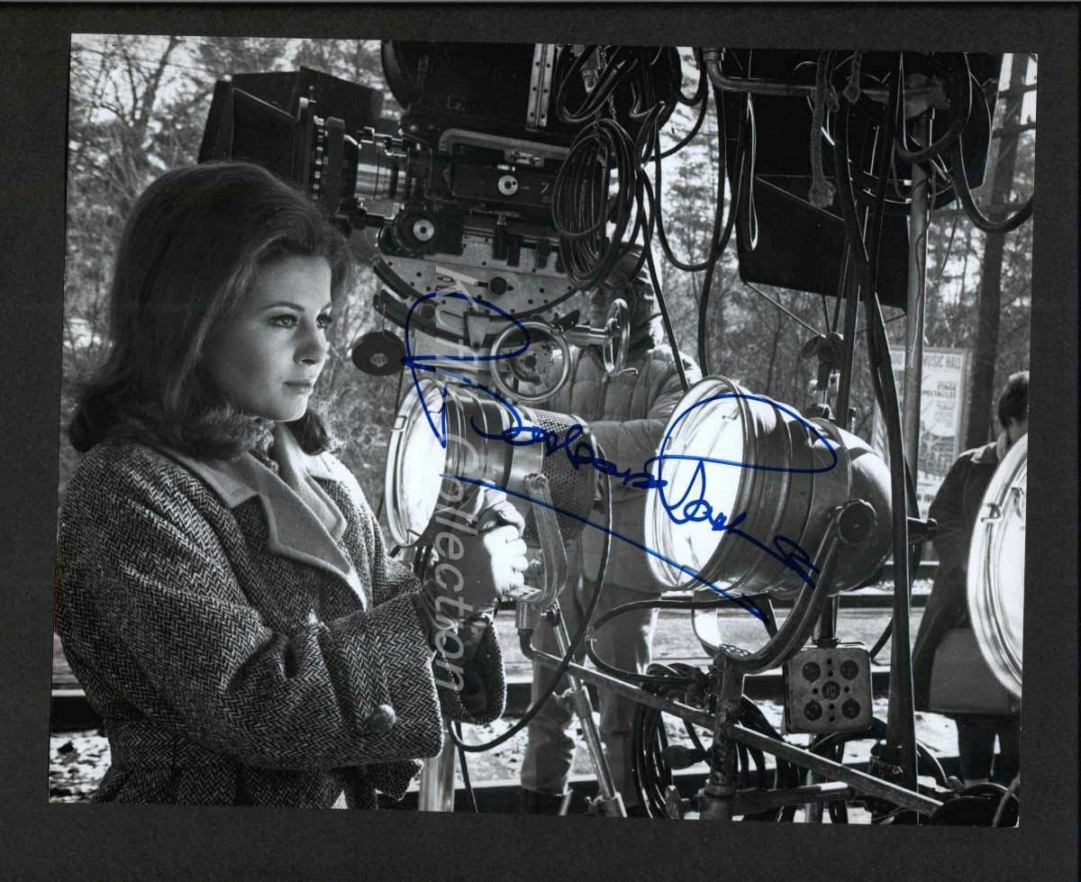 Barbara Parkins - Signed Vintage Celebrity Autograph Photo Poster painting - Peyton Place