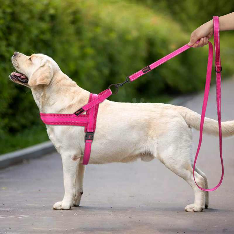 Mesh Nylon Breathable Pet Dog Harnesses Leash Set Reflective Adjustable-VESSFUL