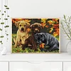 Three Dog - 14CT Counted Cross Stitch 48*40cm/18.9*15.75in