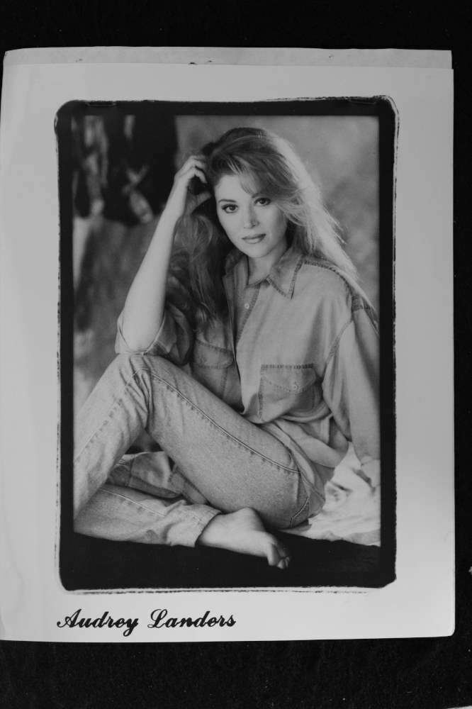 Audrey Landers - 8x10 Headshot Photo Poster painting with Resume - Dallas