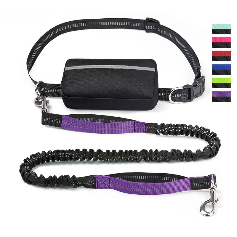 Hands Free Dog Leash