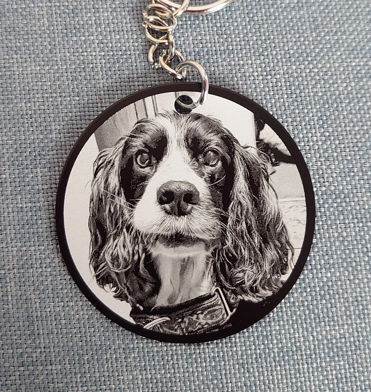 Quality Laser Engrave Metal Personalized Pet Keyring