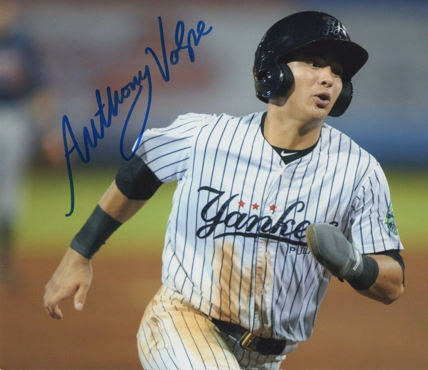 Anthony Volpe Autographed Signed 8x10 Photo Poster painting ( Yankees ) REPRINT