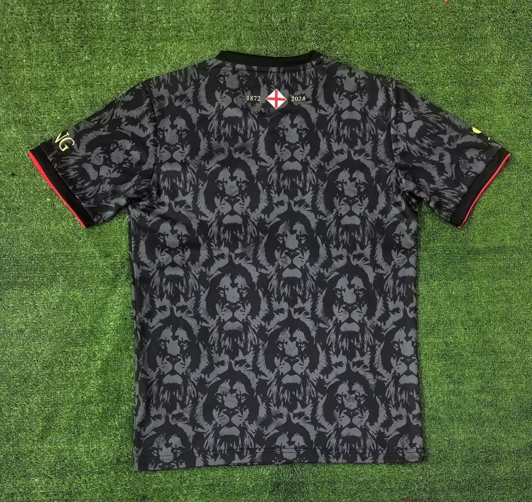 2024 England Training  Soccer Jersey Thai Quality