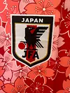 2025/2026 Japan Special Edition 17 Football Jersey 1:1 Thai Quality