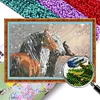 Horse - 9CT Full Beaded Cross Stitch Kit(58x38cm)