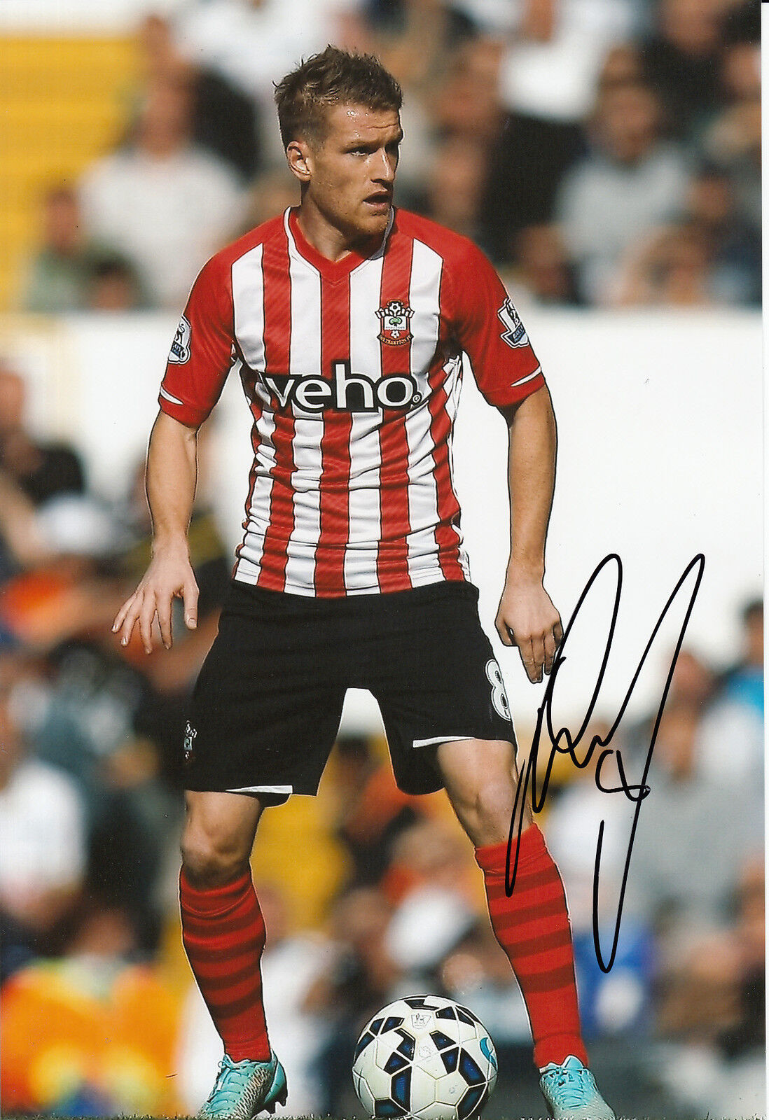 SOUTHAMPTON HAND SIGNED STEVEN DAVIS 12X8 Photo Poster painting 3.