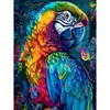 Papagei - runder Bohrer Diamantmalerei - 50*65cm (gro&szlig;er Teilbohrer)