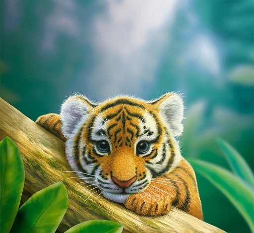

Budding Tiger – Paint By Numbers - 40*50CM, 501 Original