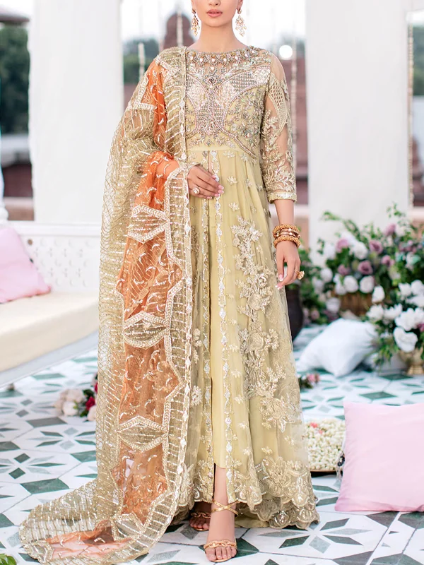 Embroidered Elegant Mesh Women's Suit