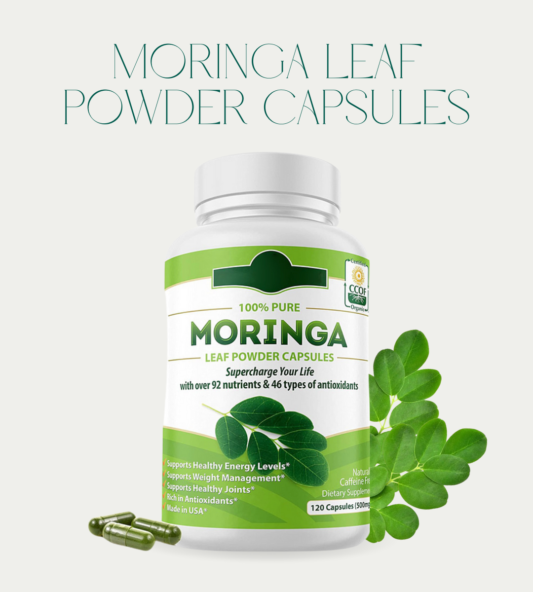 Organic Moringa Powder Capsules - 500mg, 120ct - Energy, Metabolism & Immune Support