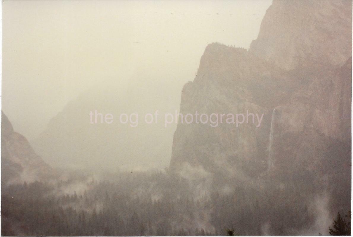 Misty Wilderness FOUND Photo Poster painting ColorOriginal Snapshot VINTAGE 08 9