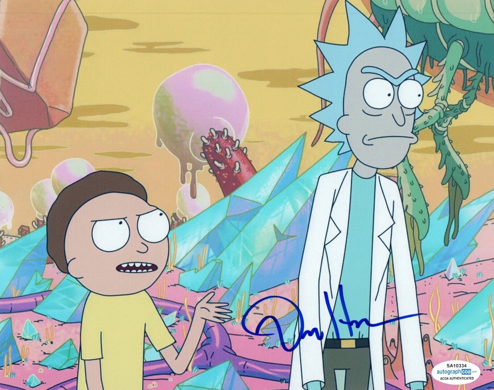 Dan Harmon Signed Autographed 8x10 Photo Poster painting RICKY & MORTY Creator ACOA COA