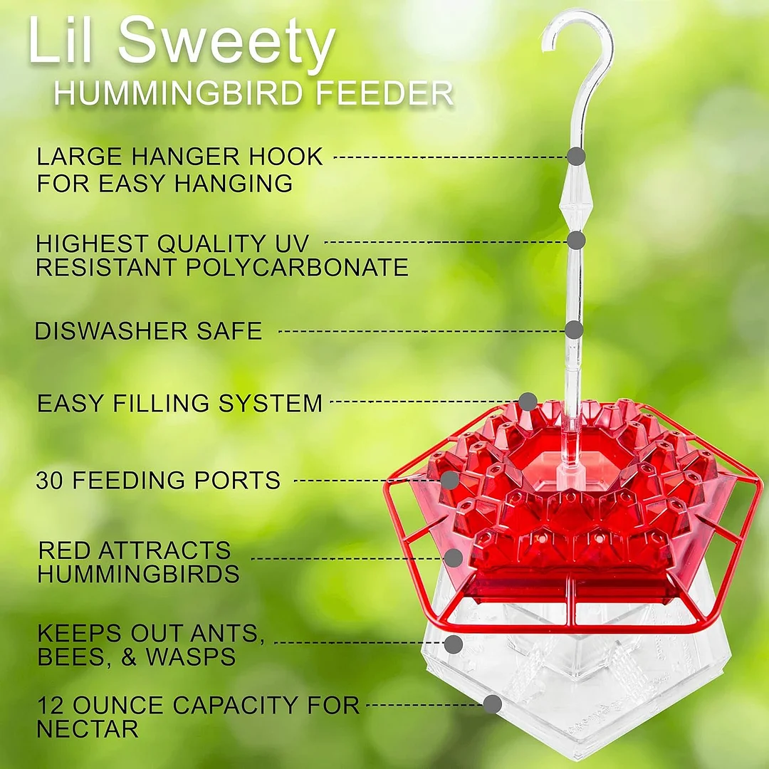 ❤️Mother's Day Sale 49% OFF-ROB'S HUMMINGBIRD FEEDER