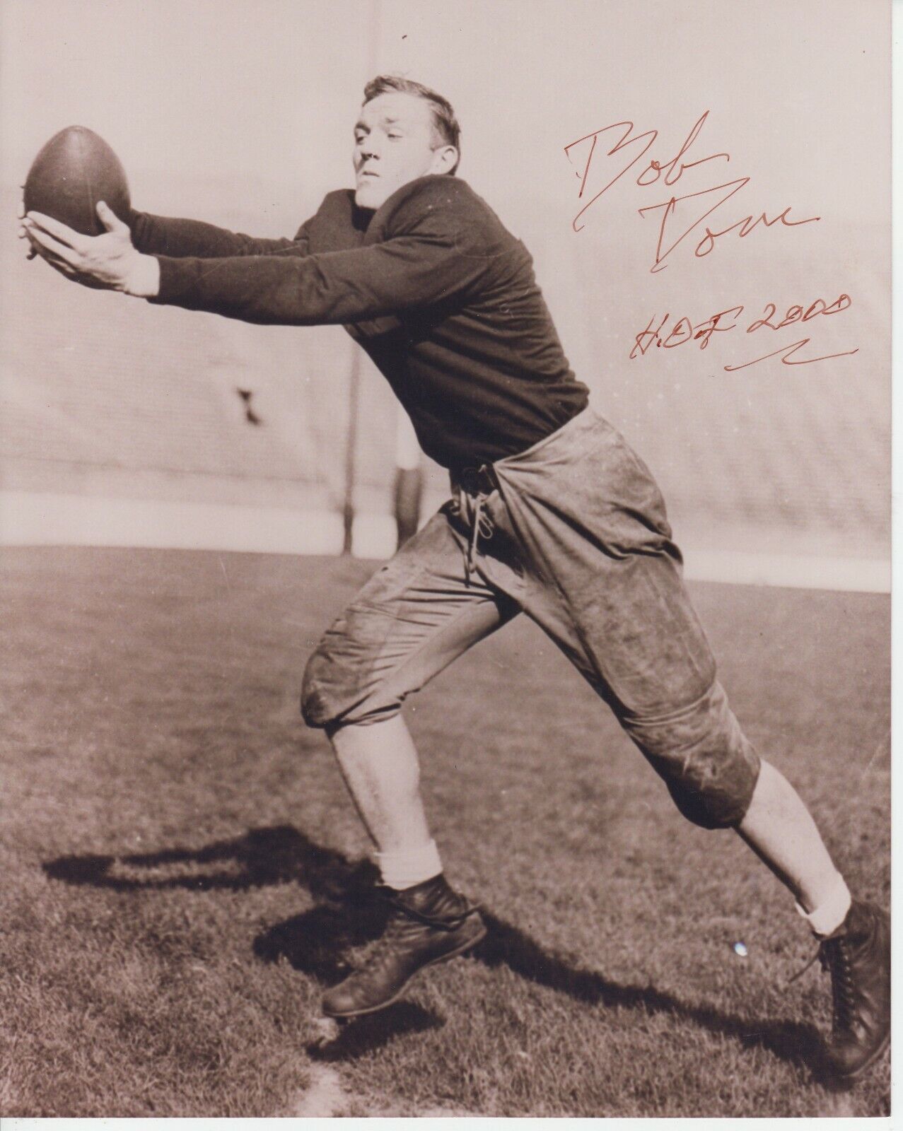 Bob Dove #0 8x10 Signed Photo Poster painting w/ COA Notre Dame Fighting Irish -