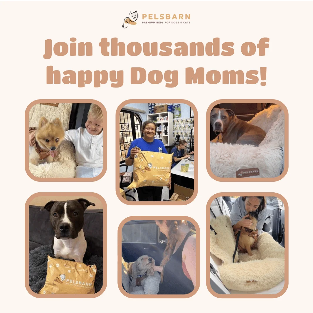 Pelsbarn Protecting Car Bed