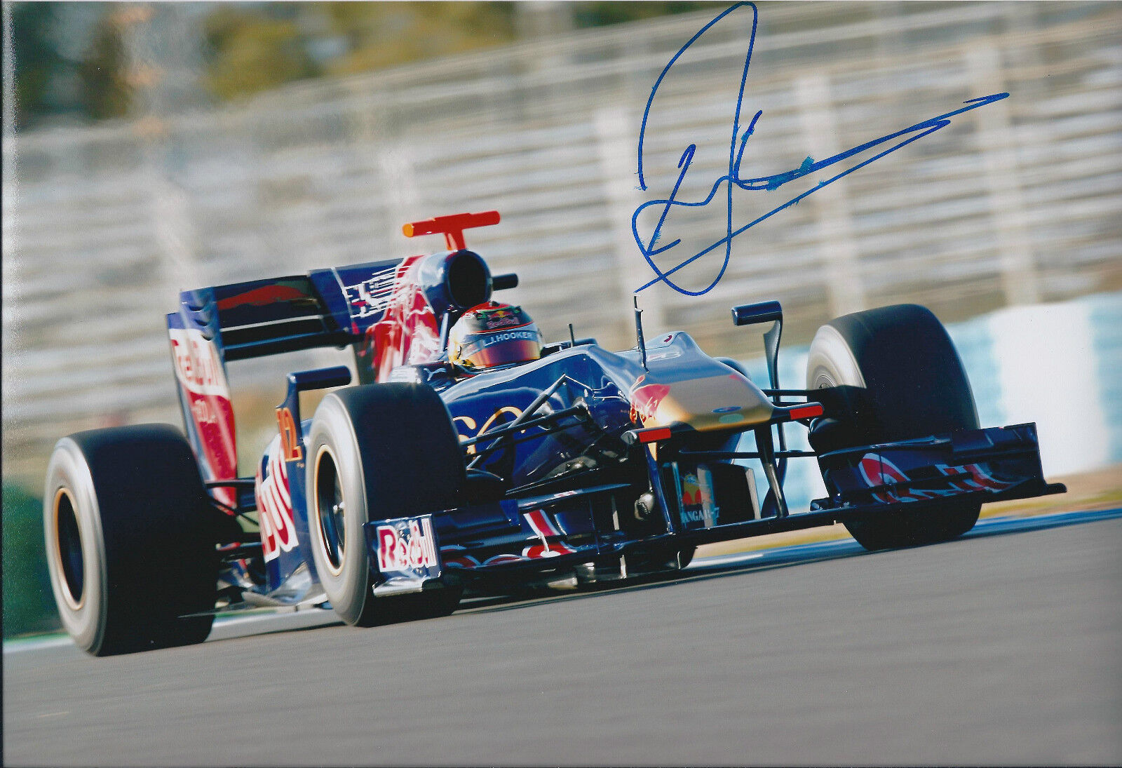 Brendon HARTLEY Signed 12x8 Red Bull Toro ROSSO F1 Photo Poster painting Autograph AFTAL COA