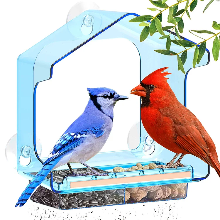 LUJII Roof Window Bird Feeder  with Strong Suction Cup, Blue