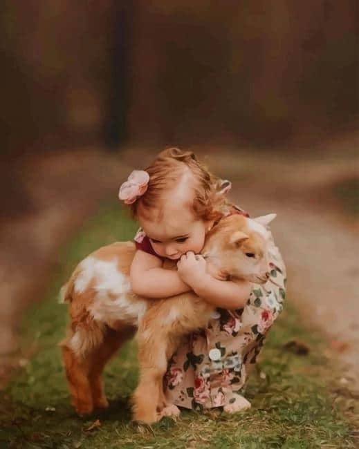 

Girl Hugging A Little Goat – Paint By Numbers - 40*50CM, 501 Original