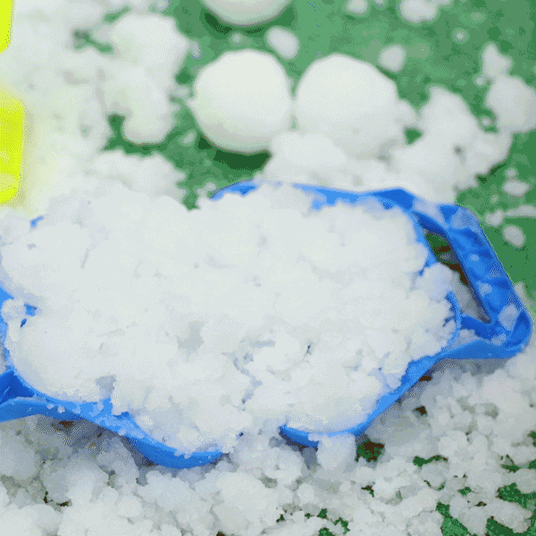 Snowbuddy 2022 Newest Members