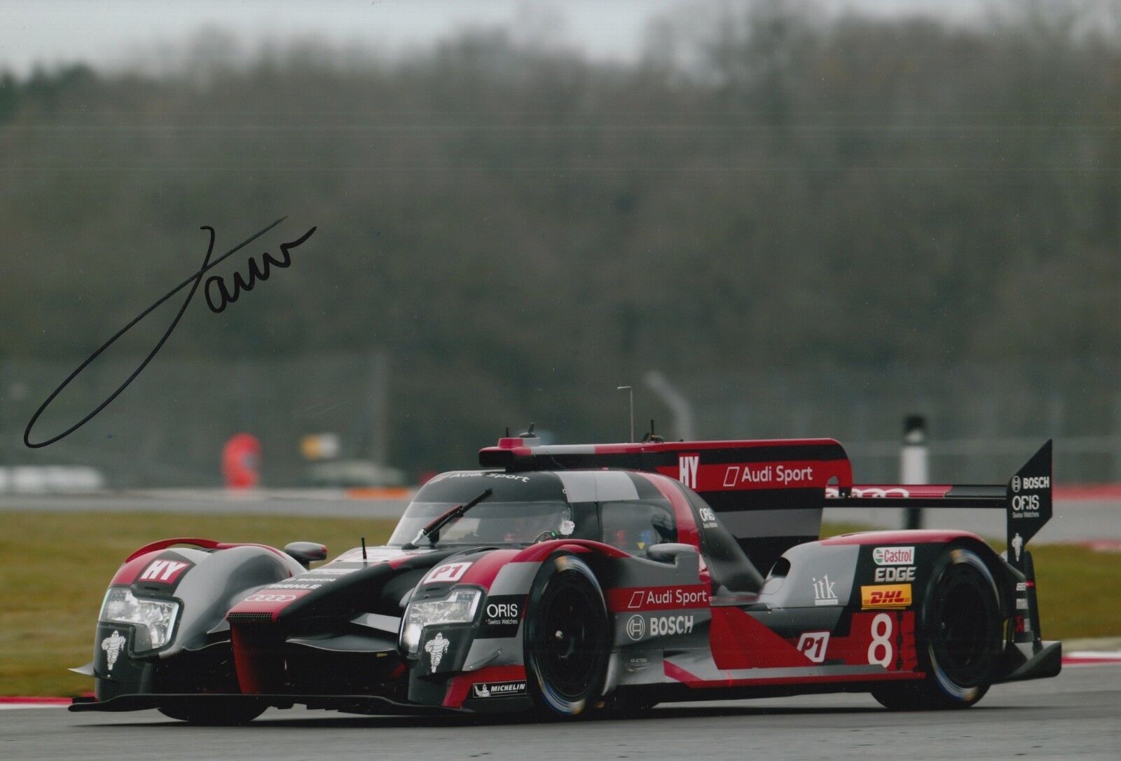 Oliver Jarvis Hand Signed Audi Sport 12x8 Photo Poster painting Le Mans 1.