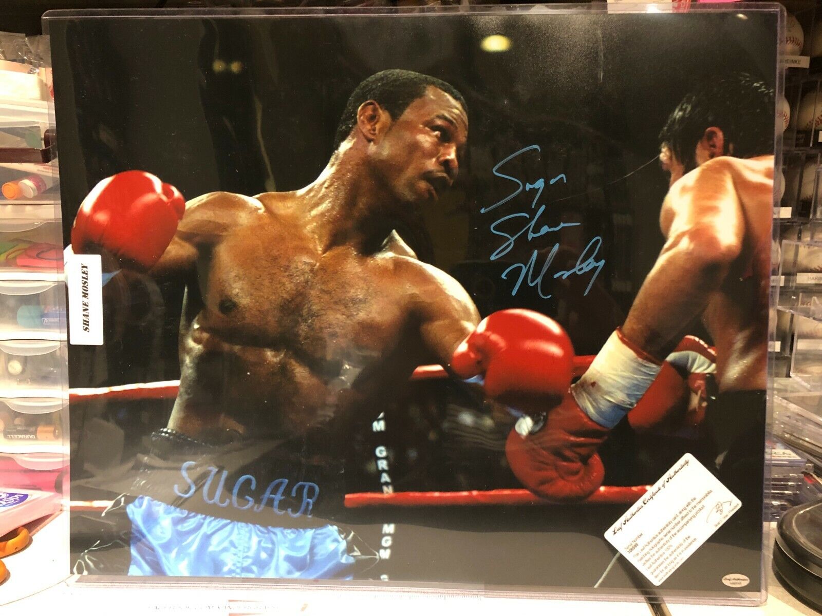 SUGAR SHANE MOSLEY SIGNED AUTOGRAPHED BOXING 16X20 Photo Poster paintingGRAPH-LEAF COA PACQUIAO