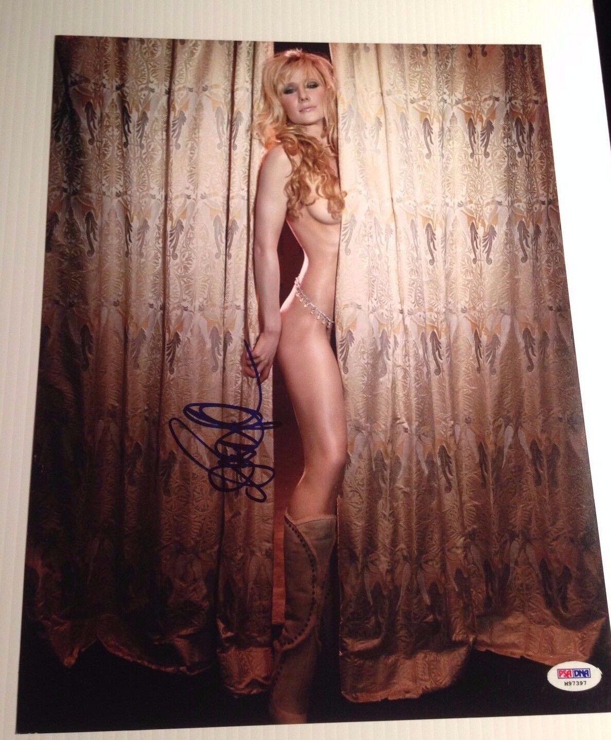 Anne Heche Sexy Signed Authentic 11X14 Photo Poster painting Autographed PSA/DNA COA