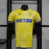 24/25 Player Version Crystal Palace Soccer Jersey Away