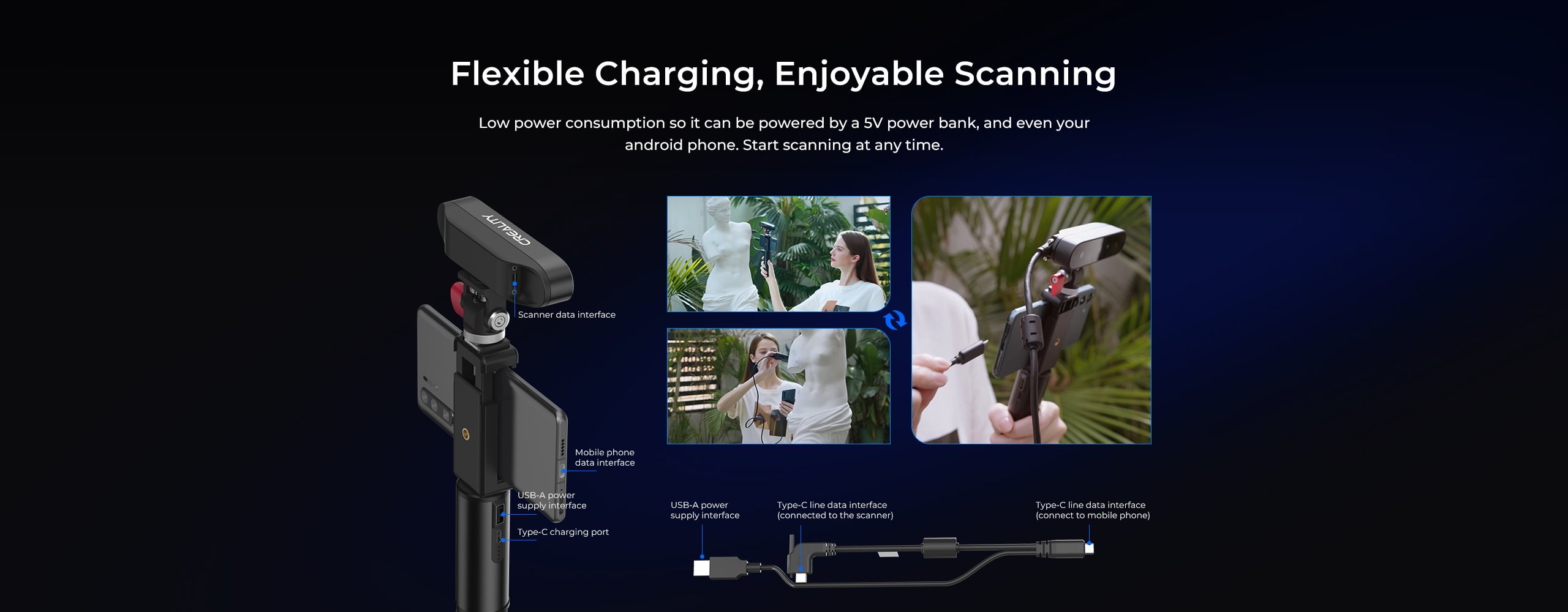 ct scan ferret 3d scanner