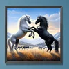Diamond Painting -5D Full Round Drill Mountain Horse