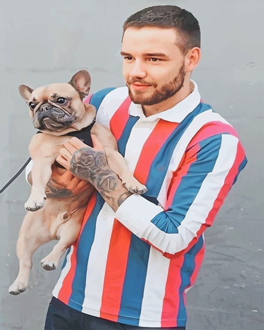 

Handsome Liam Payne – Paint By Numbers - 40*50CM, 501 Original