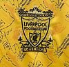 1994/1996 Retro Liverpool FC Third Away Football Jersey 1:1 Thai Quality