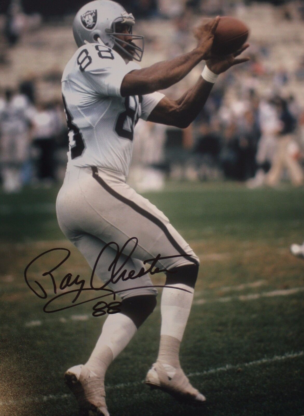 Autographed Raymond Chester 16x20 Oakland Raiders Photo Poster painting with COA