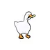 Sweet Swan Friend