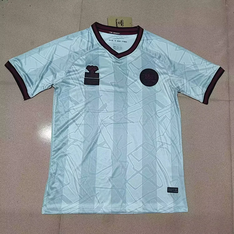 2025 Denmark Special Edition Jersey